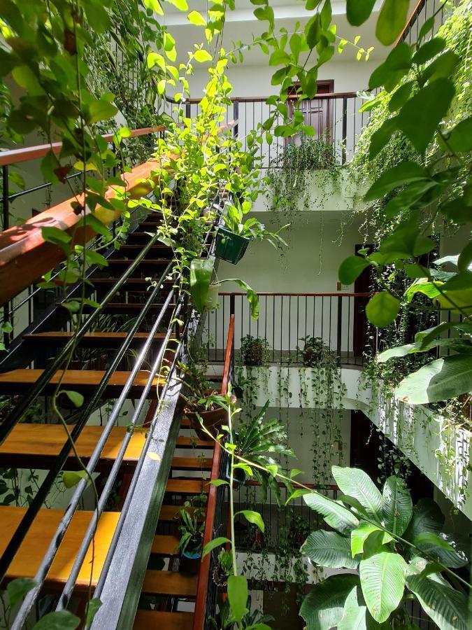 昆岛妮可酒吧酒店 Chi Khu Co Ong 外观 照片